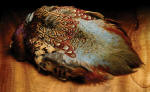 Hareline Dubbin-Complete Pheasant Skin