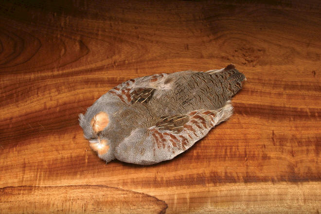 Hareline Dubbin Hungarian Partridge Skin Grade #1