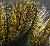 Hareline Dubbin Coq De Leon Feathers-Medium