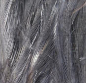 Hareline Dubbin Bugger Hackle Patches-Dun