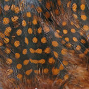 Hareline Dubbin Strung Guinea Feathers-Rusty Brown