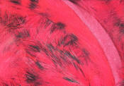 Hareline Dubbin-Black Barred Rabbit Strips 1/8"-Sockeye Red