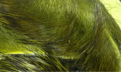 Hareline Dubbin Rabbit Strip-Olive Variant