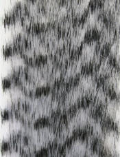 Hareline Dubbin Grizzly Fibre