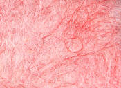 Hareline Dubbin-Haretron Dub-Shirmp Pink