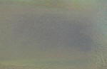 Wapsi Loco Foam-Holographic Gold