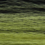 Wapsi Unique Hair-Olive