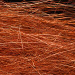 Wapsi Wing N Flash-Orange