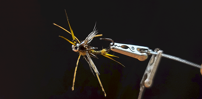 BH Jig Biot Stonefly Nymph-Skwala