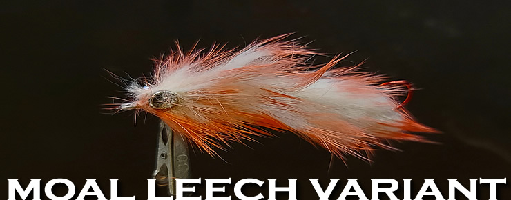 Moal Leech Variant Flesh Fly