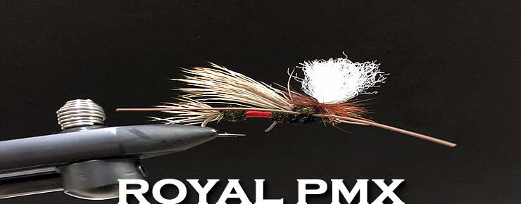 The Royal Para Madam X